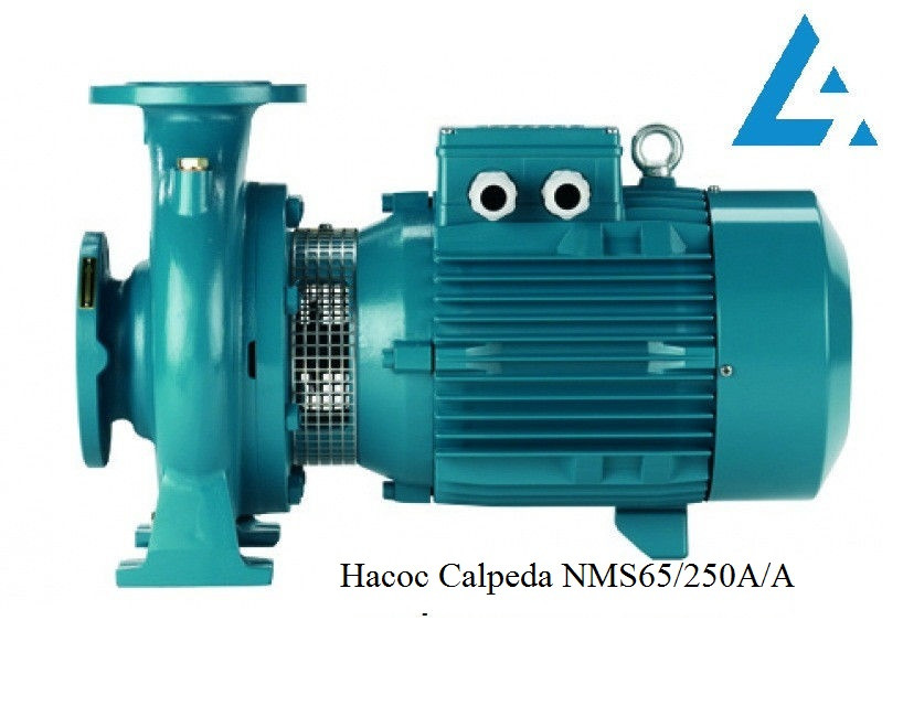 Насос NMS65/250A/A Calpeda. Ціна грн Україна