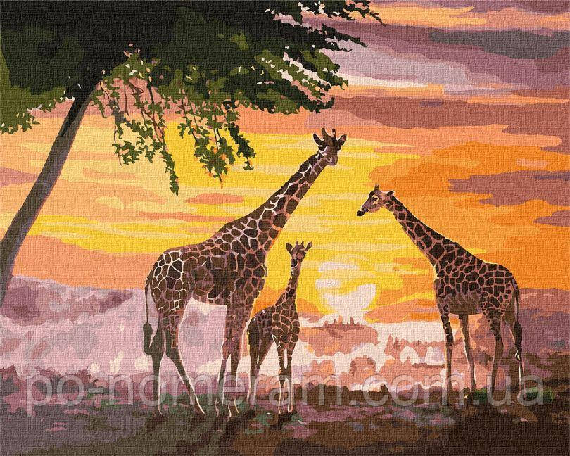 Акційна Розмальовки за номерами Ідейка Сім'я жирафів ©ArtAlekhina (KHO4353) 40 х 50 см