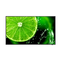 NEC MultiSync E658 (60005059)