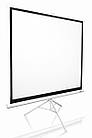 ELITE SCREENS T85NWS1, фото 3