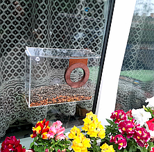 Годівниця для птахів на вікно Фотоапарат