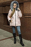 Жіноча молодіжна зимова куртка Крістіна пудра, розміри 44,48, фото 5