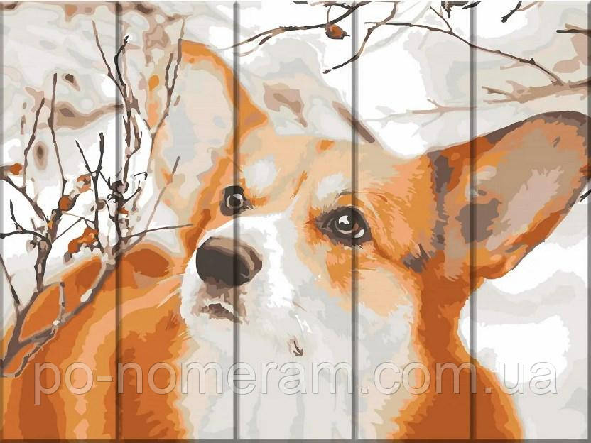 Акційна Картина по цифрам ArtStory Коргі (ASW210) 30 х 40 см, фото 1