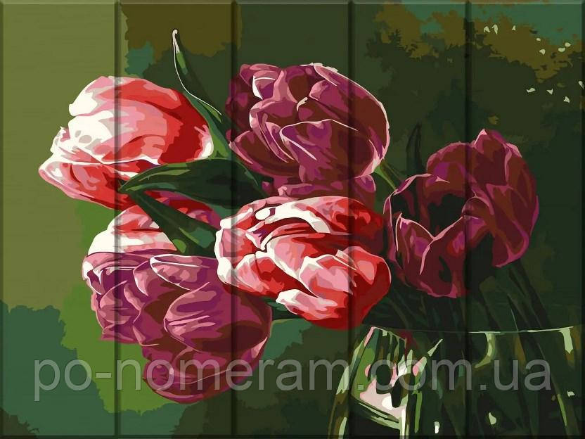 Акційна Картина за номерами ArtStory Тюльпани (ASW212) 30 х 40 см, фото 1