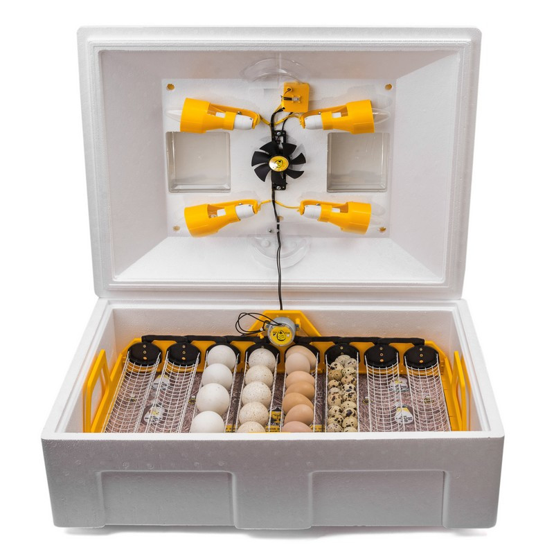 Инкубатор автоматический Инверторный Теплуша Люкс 72 ИБ 220/50 ЛА(В ...