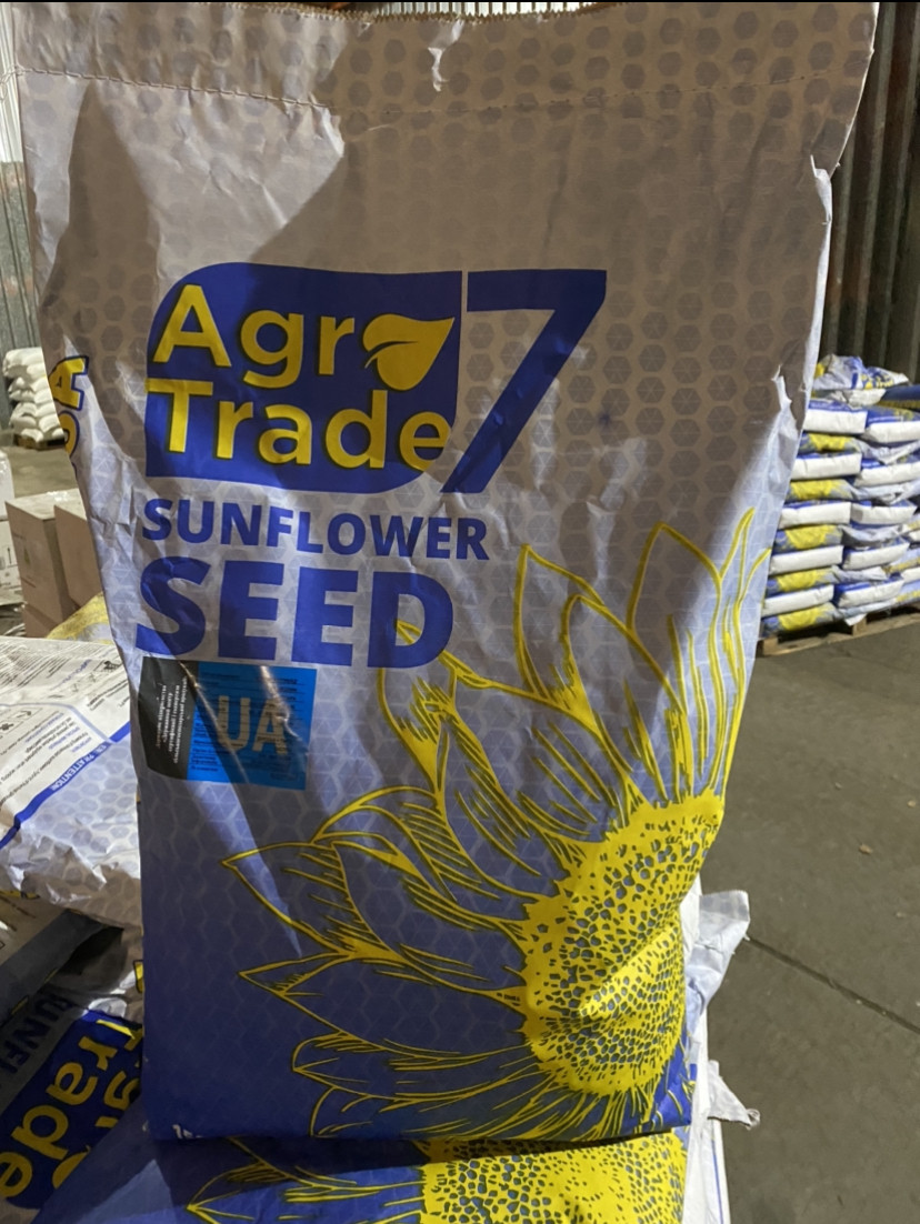 Насіння соняшника Кардинал 2023 р, фото 1