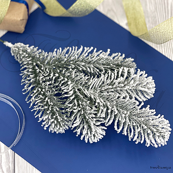 Гілка лита Ялина канадська Еліт зелена Засніжена