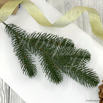 Гілка лита Ялина канадська Еліт зелена