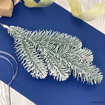 Гілка лита Ялина канадська Еліт блакитна Засніжена