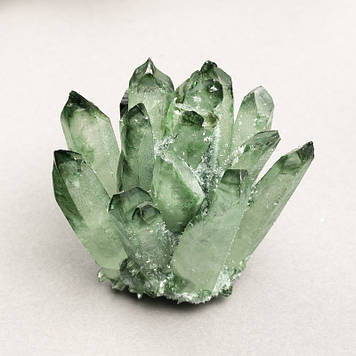 (за 100г.) Сувенірна Друза Ірландський Мох вага від 450г.