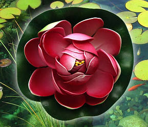 Декоративний Лотос Темно- Бузковий малий