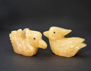 Парочка качок — мандаринок із Оніксу