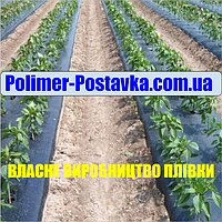 Мульчуюча плівка для ПЕРЦЮ - ЧОРНА