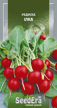 Насіння редис Ілка F1, 2 г — ранній, урожайний, SeedEra, фото 1