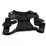 Корсет для корекції постави Back Pain Help Support Belt ортопедичний коректор (Розмір M) (ST), фото 4