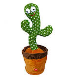 Танцювальний кактус Dancing Cactus АА, інтерактивна іграшка кактус повторювача  ⁇  танцючий кактус (ST), фото 3