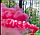 Кольоровий дим для фотосесії Червоний Maxsem MA0509 Red smoking fountain 45 сек, фото 6