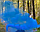 Кольоровий дим для фотосесії Синій Maxsem MA0509 Blue smoking fountain 45 сек, фото 5