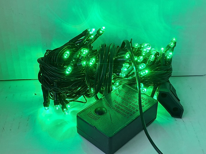 Світлодіодна Гірлянда на 100 LED зелена 6.5 м (25106-E), фото 1