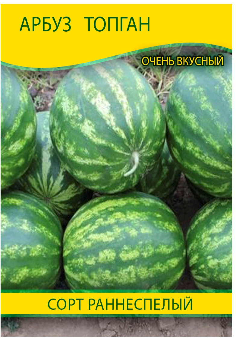 Насіння кавуна Топган, 0,5 кг