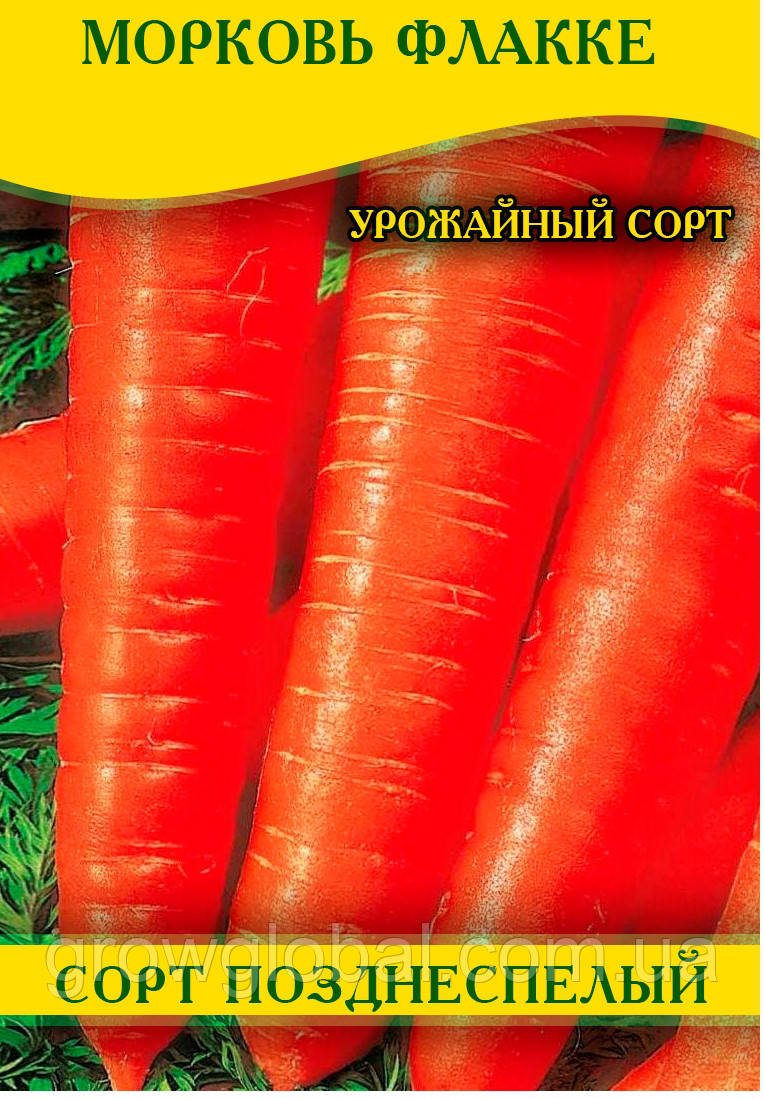 Насіння моркви Флакке, 1кг
