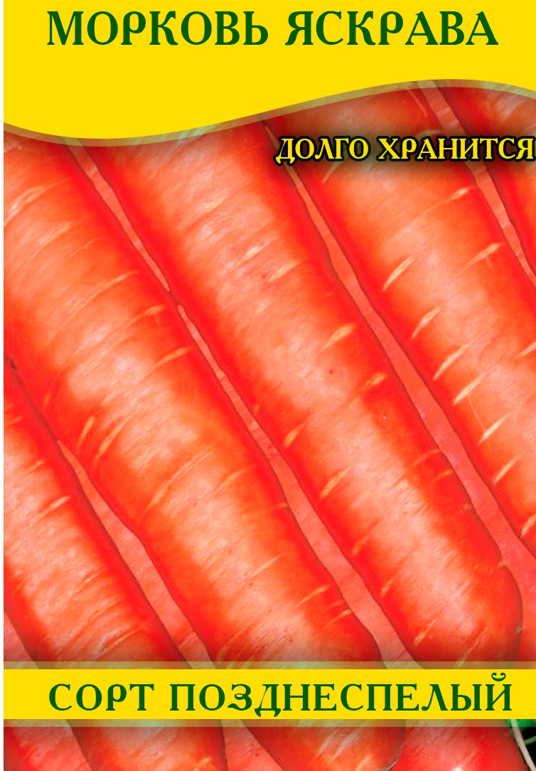Насіння моркви Яскрава, 1кг