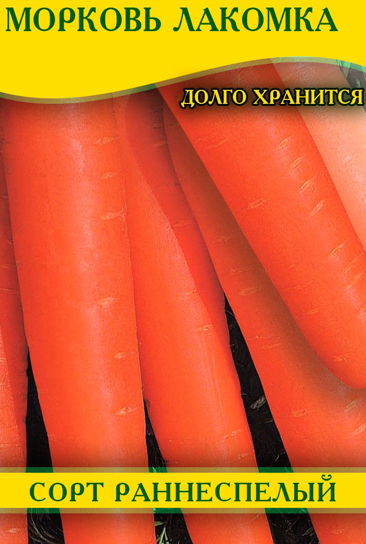Насіння моркви Ласун, 1 кг