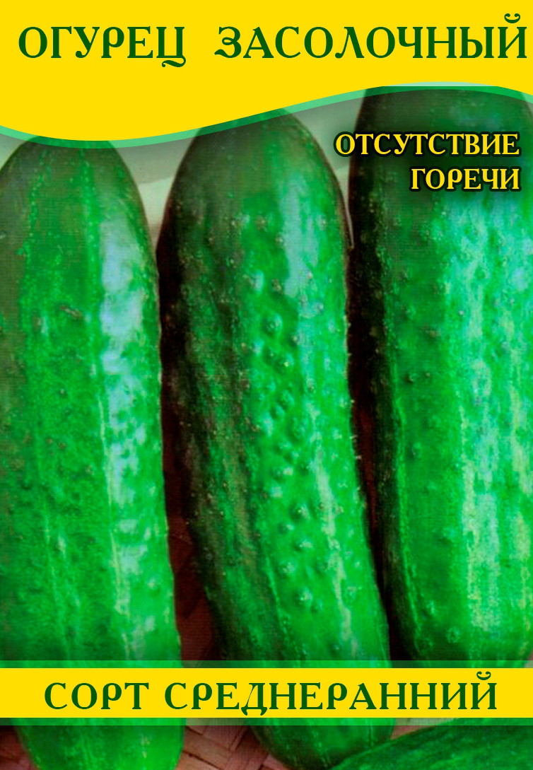 Насіння огірка Засолочний, 0,5 кг