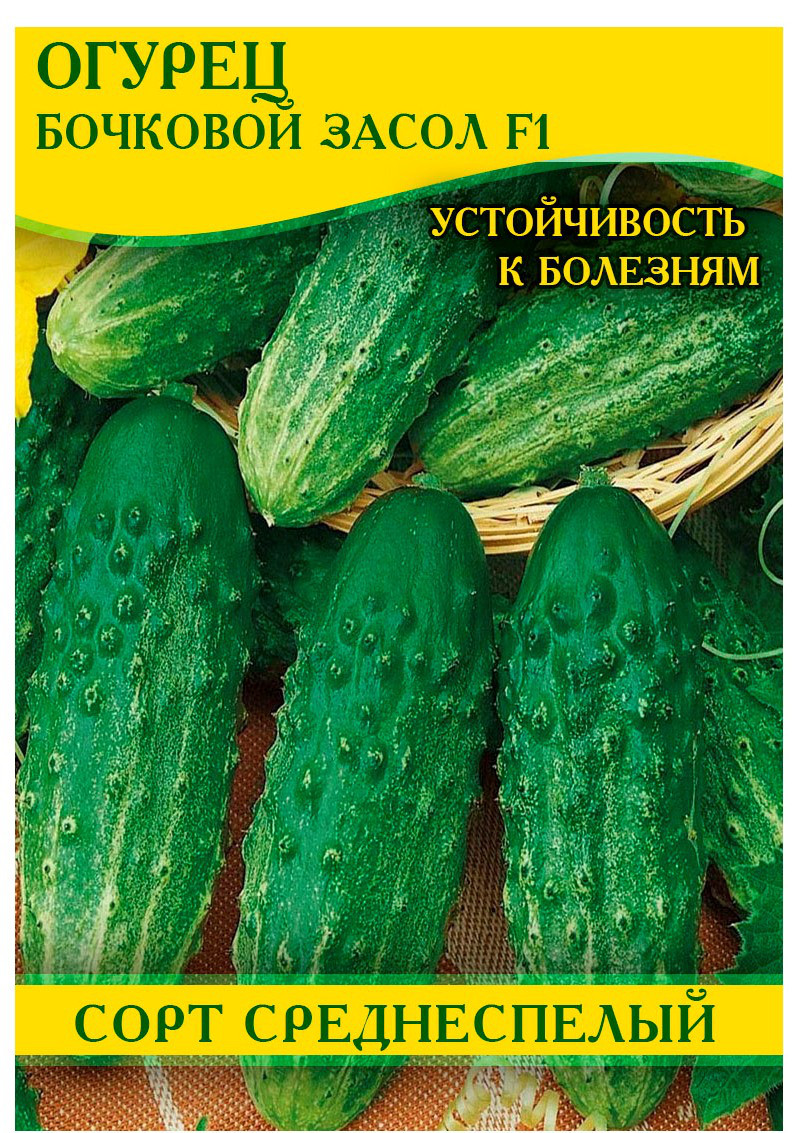 Насіння огірка Бочковий Засіл F1, 0,5 кг