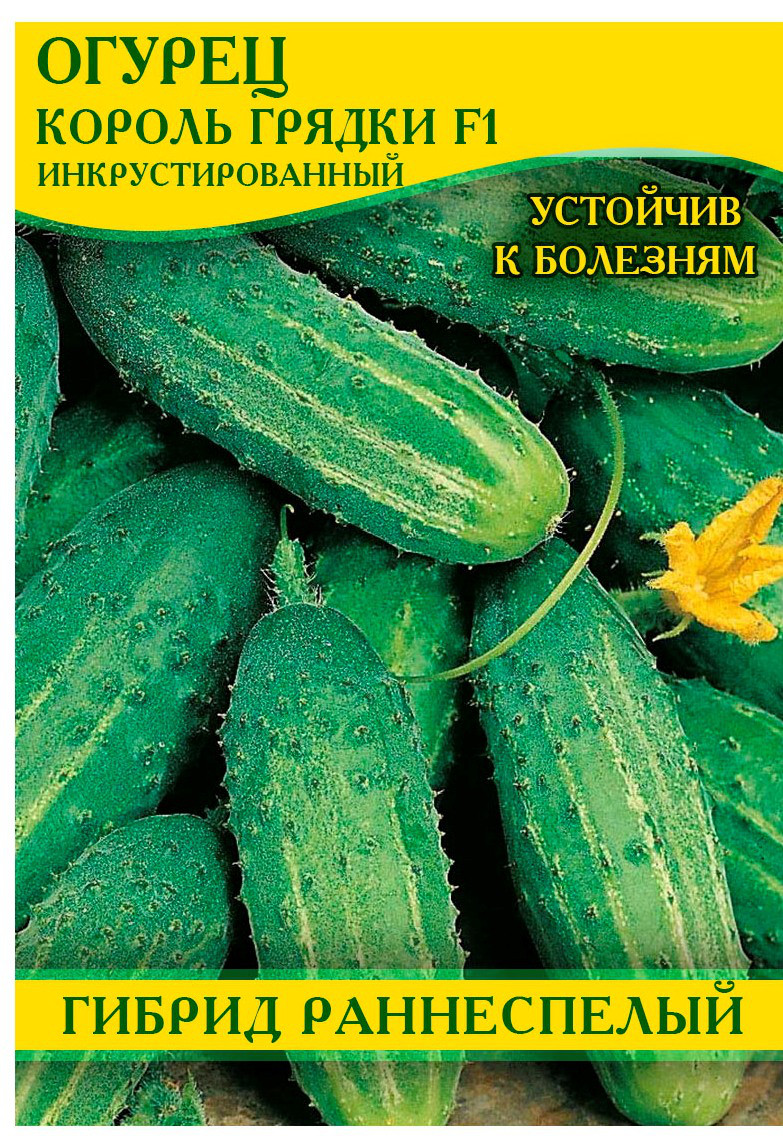 Насіння огірка Король Грядки F1, 0,5 кг