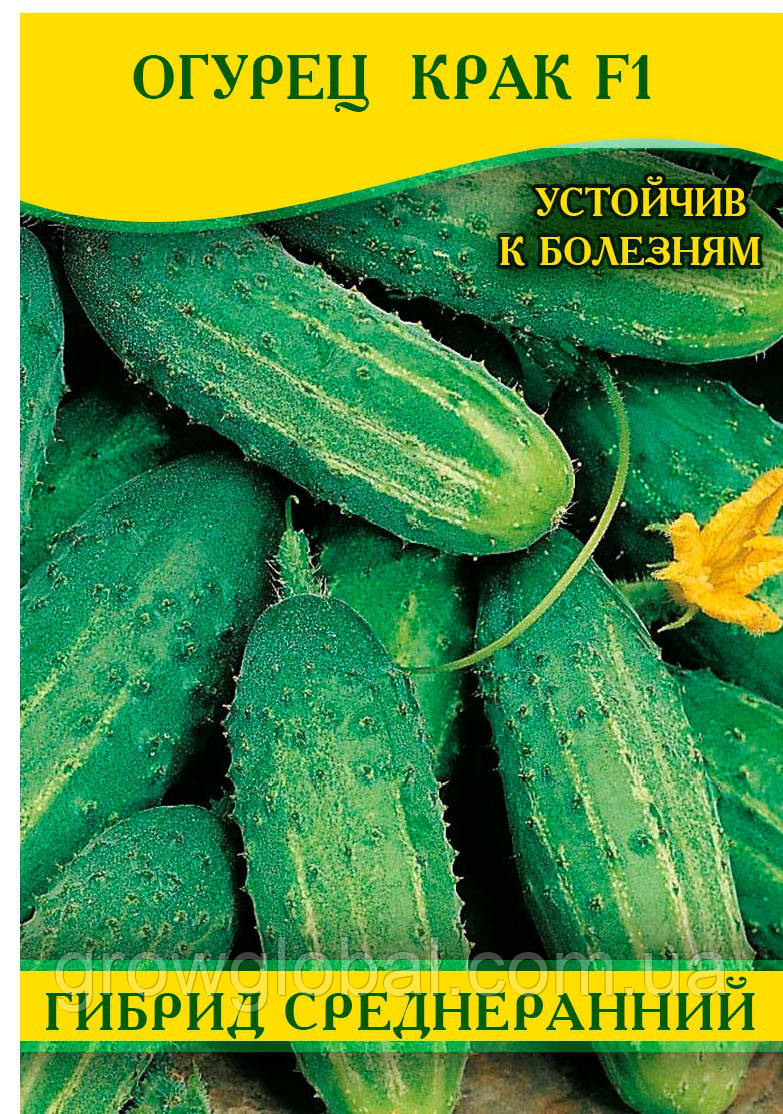 Насіння огірка Крак F1, 0,5 кг