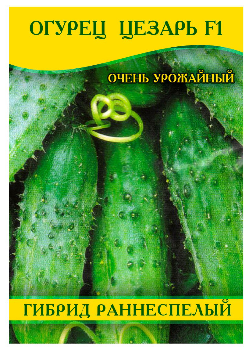 Насіння огірка Цезар F1, 0,5 кг