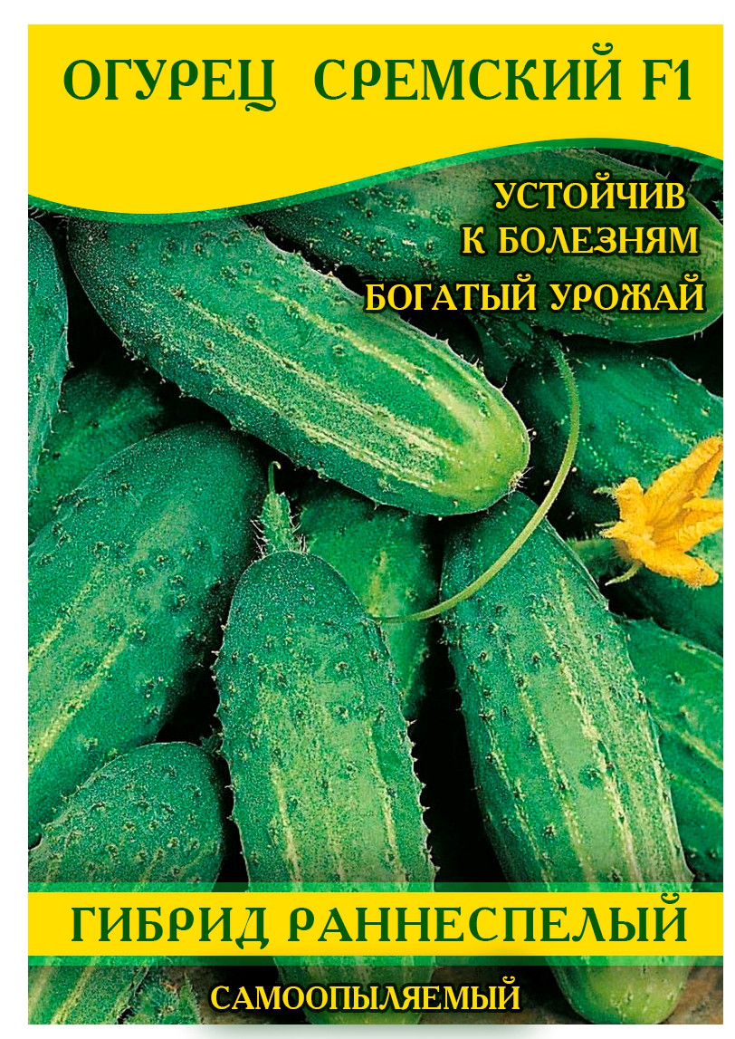 Насіння огірка Сремський F1, 0,5 кг