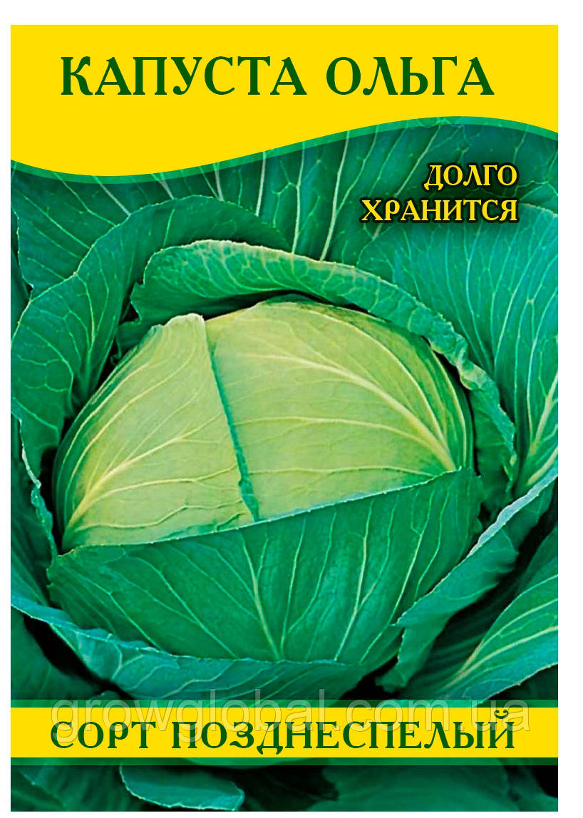 Насіння капусти Ольга, 0,5 кг