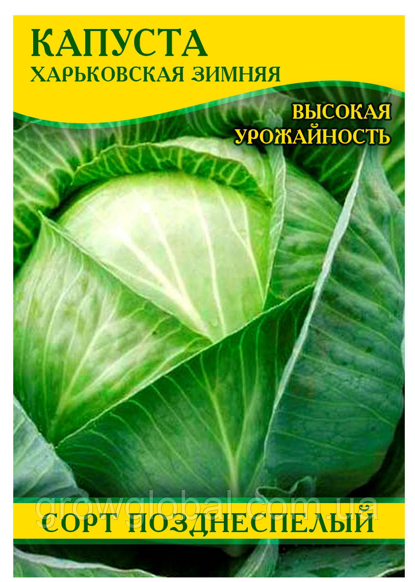 Насіння капусти Харківська зимова, 0,5 кг