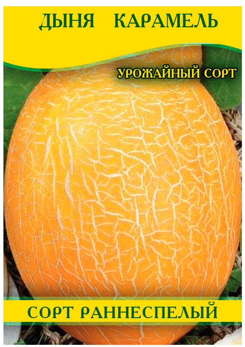 Насіння дині Карамель, 0,5 кг