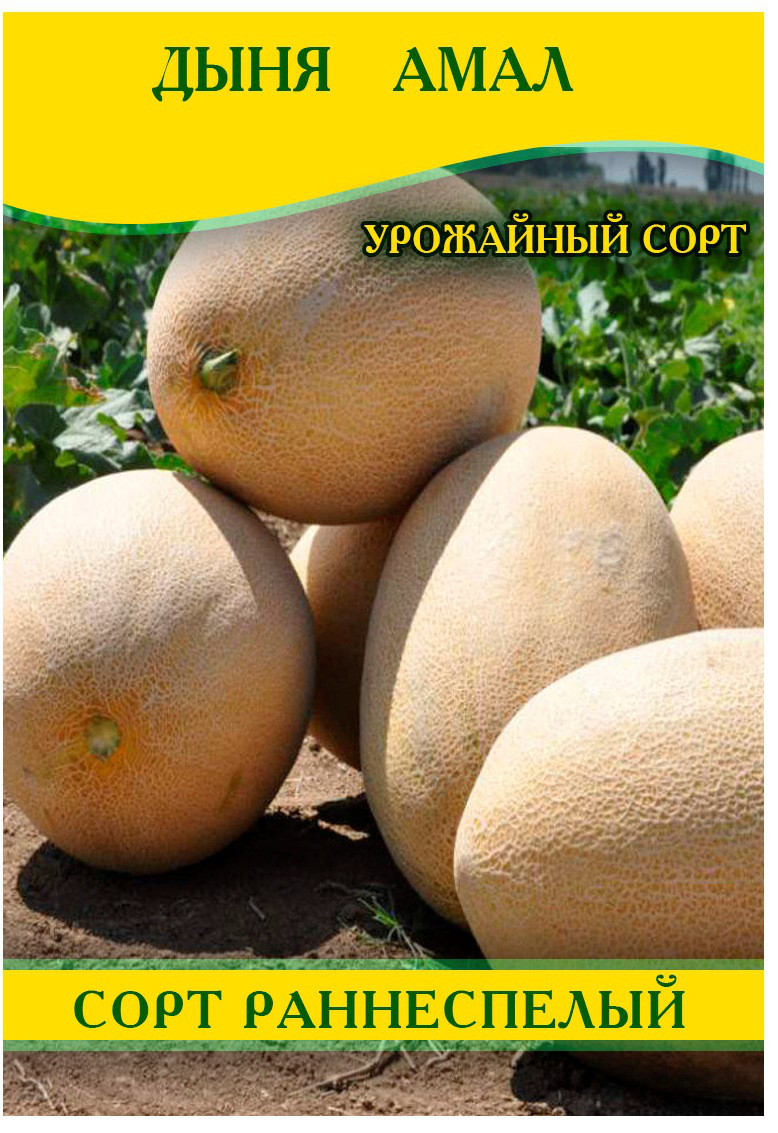 Насіння дині Амал, 0,5 кг