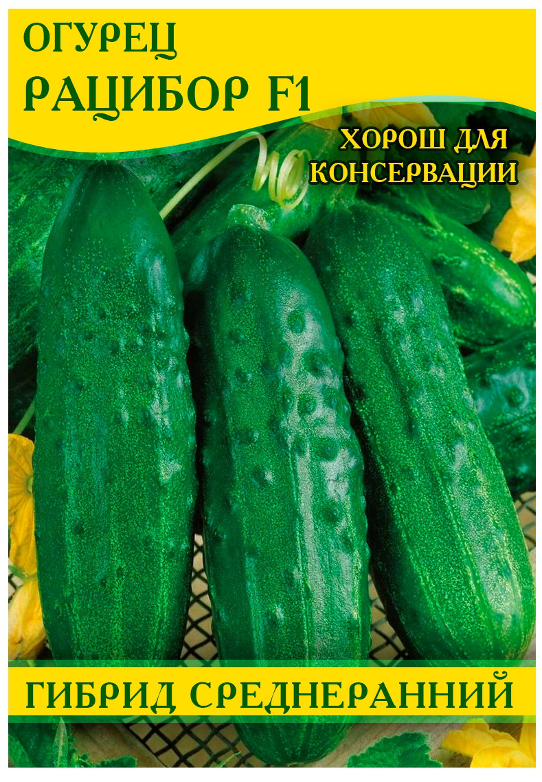 Насіння огірка Рацибор F1, 0,5 кг