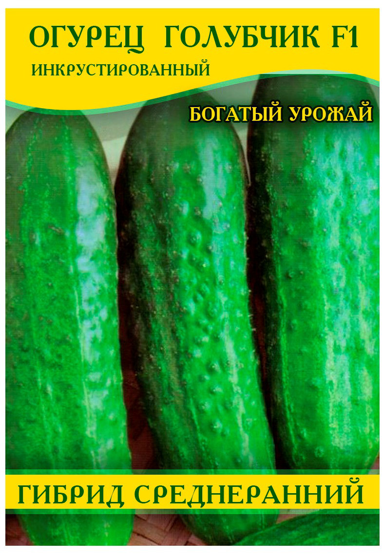 Насіння огірка Блакитник F1, 0,5 кг