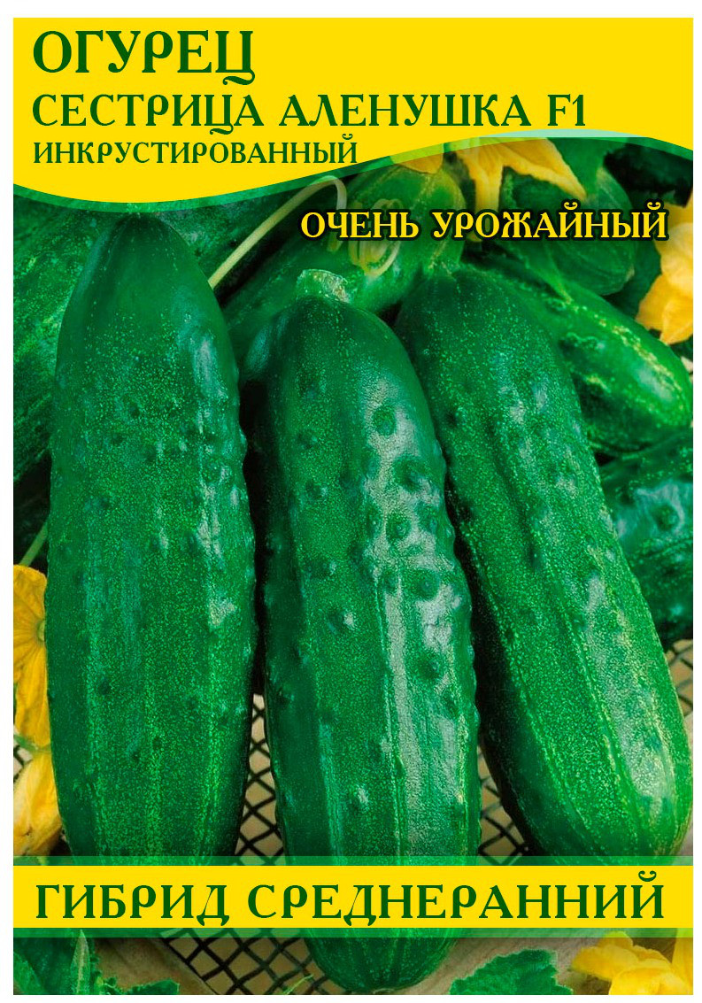 Насіння огірка Сестриця Оленка F1, 0,5 кг
