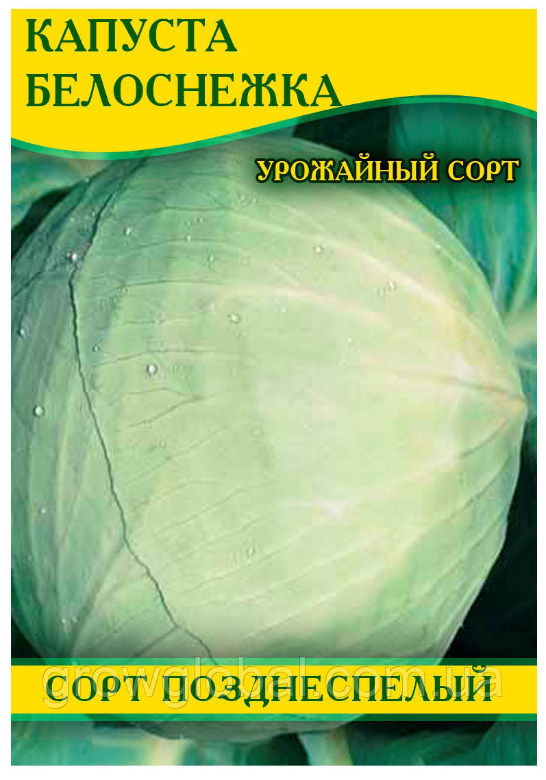 Насіння капусти Білосніжка, 0,5 кг