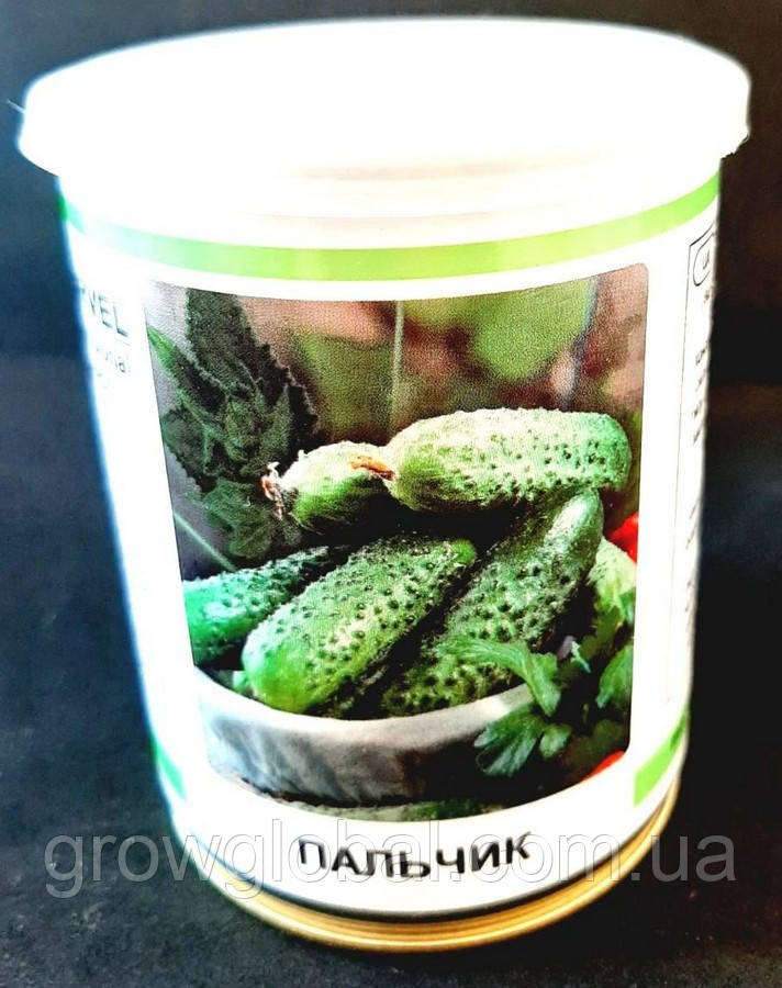 Насіння огірка Пальчик, (Україна), 100 г (банку)