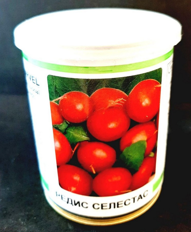 Насіння редьки Селестас, (Польща), 100 г (банку)