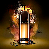 Парфуми Montale Intense Pepper Парфумована вода 100 ml (Парфуми Монталь Інтенс Пепер EDP), фото 2