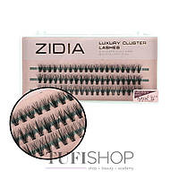 Ресницы ZIDIA Cluster lashes 20D MESSY C 0,10 MIX S 3 ленты размер 8, 9, 10 mm (110118)