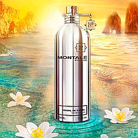 Парфуми Montale Soleil De Capri Парфумована вода 100 ml (Парфуми Монталь Солей Де Капрі EDP), фото 4