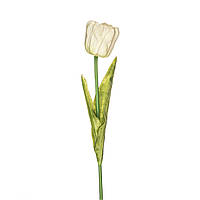 Штучний тюльпан, 1 голова білий