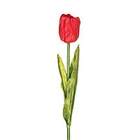 Штучний тюльпан, 1 голова червоний
