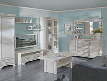 Тумба під телевізор Кентуккі RTV 2D1S БРВ 520x1440x440мм білий альпійський, фото 4