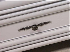 Тумба під телевізор Кентуккі RTV 2D1S БРВ 520x1440x440мм білий альпійський, фото 2